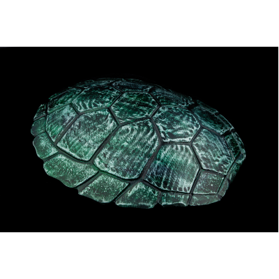Tinbe (sea turtle shell simulation)  green