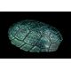 Tinbe (sea turtle shell simulation) green Tinbe (sea turtle shell simulation) green