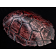 Tinbe (sea turtle shell simulation) red Tinbe (sea turtle shell simulation) red
